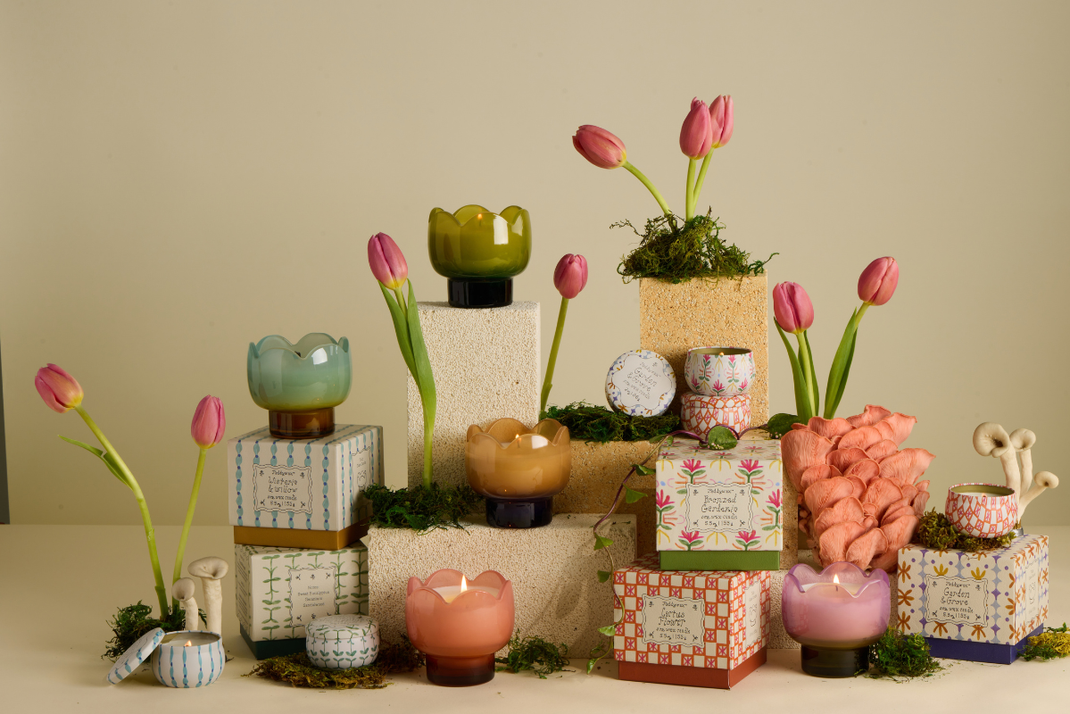 Garden & Groove | Tulip Collection