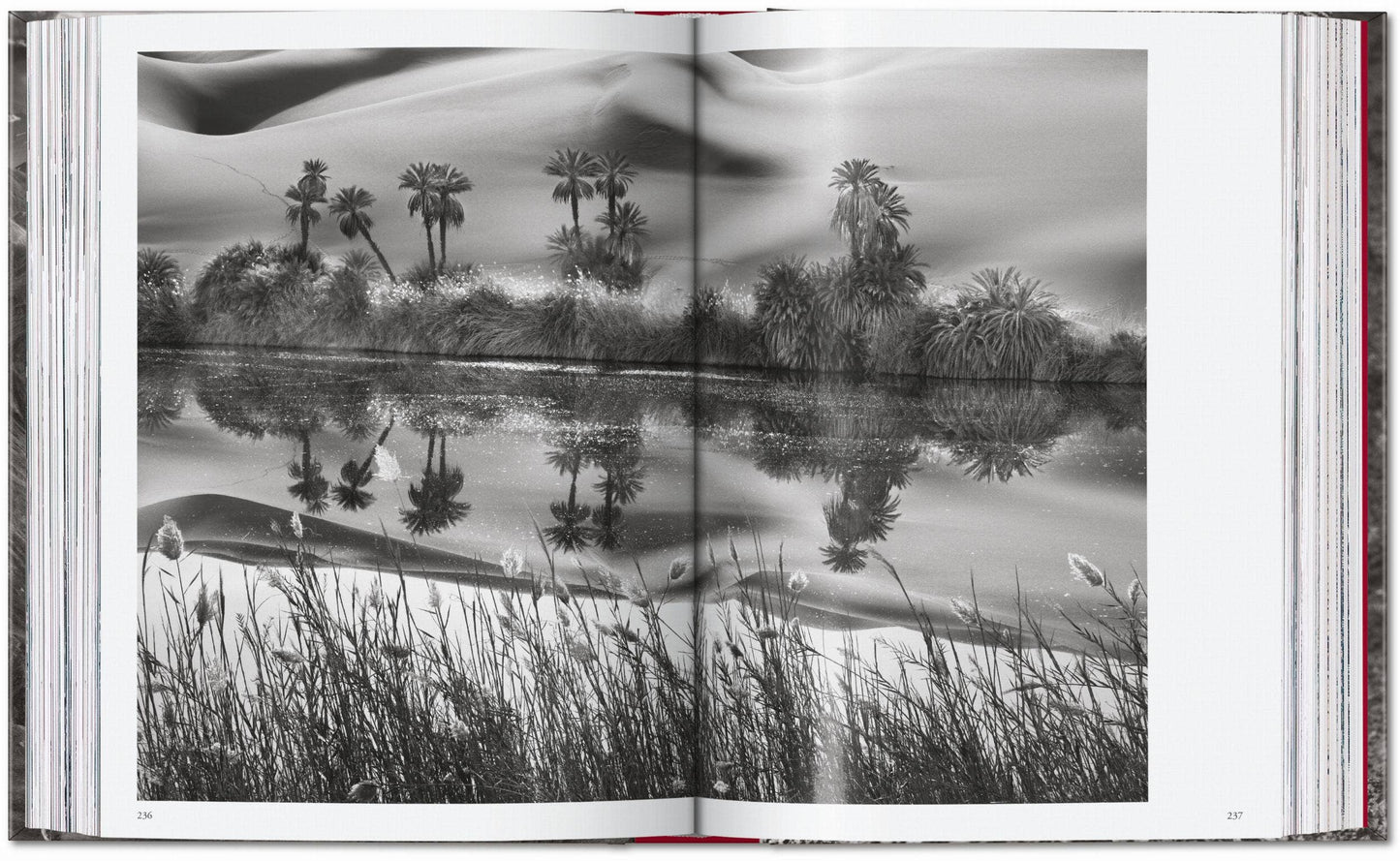 TASCHEN "Sebastião Salgado | Genesis" - 40th Anniversary Edition