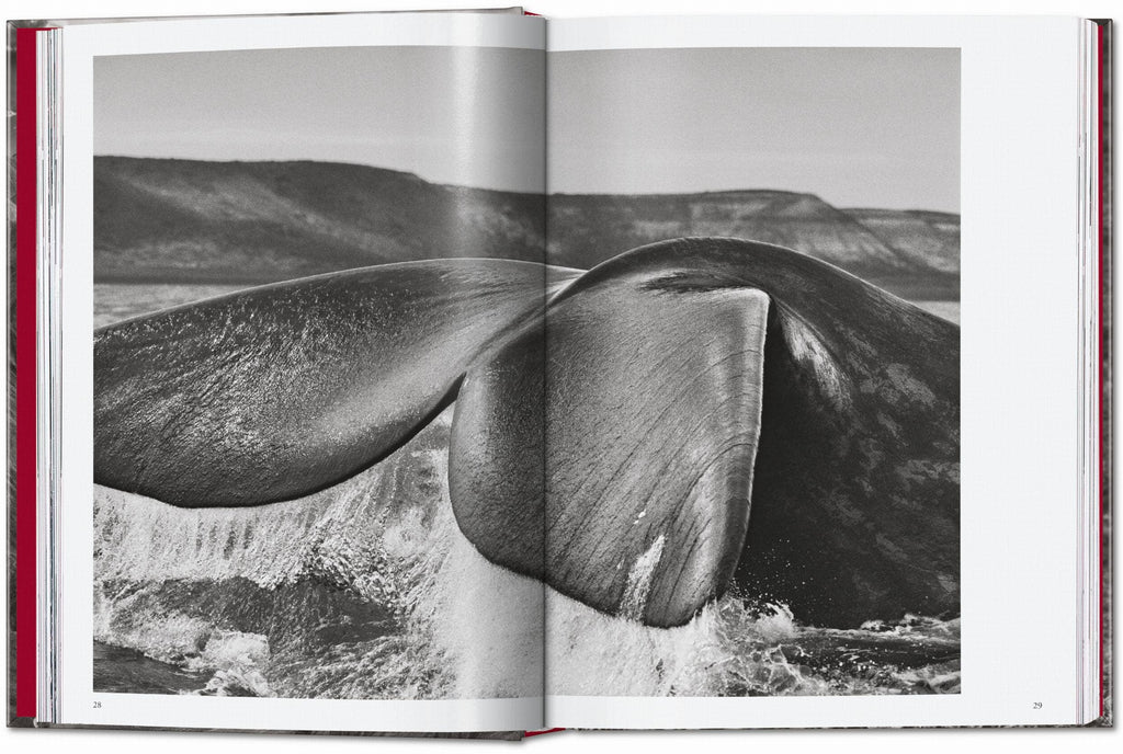 TASCHEN "Sebastião Salgado | Genesis" - 40th Anniversary Edition