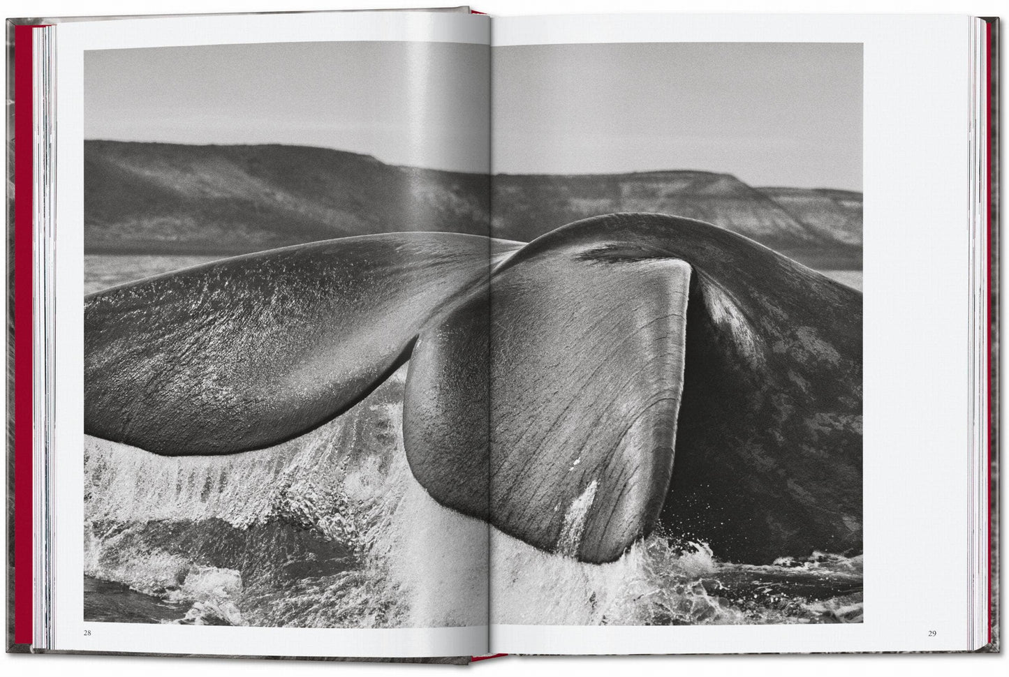 TASCHEN "Sebastião Salgado | Genesis" - 40th Anniversary Edition