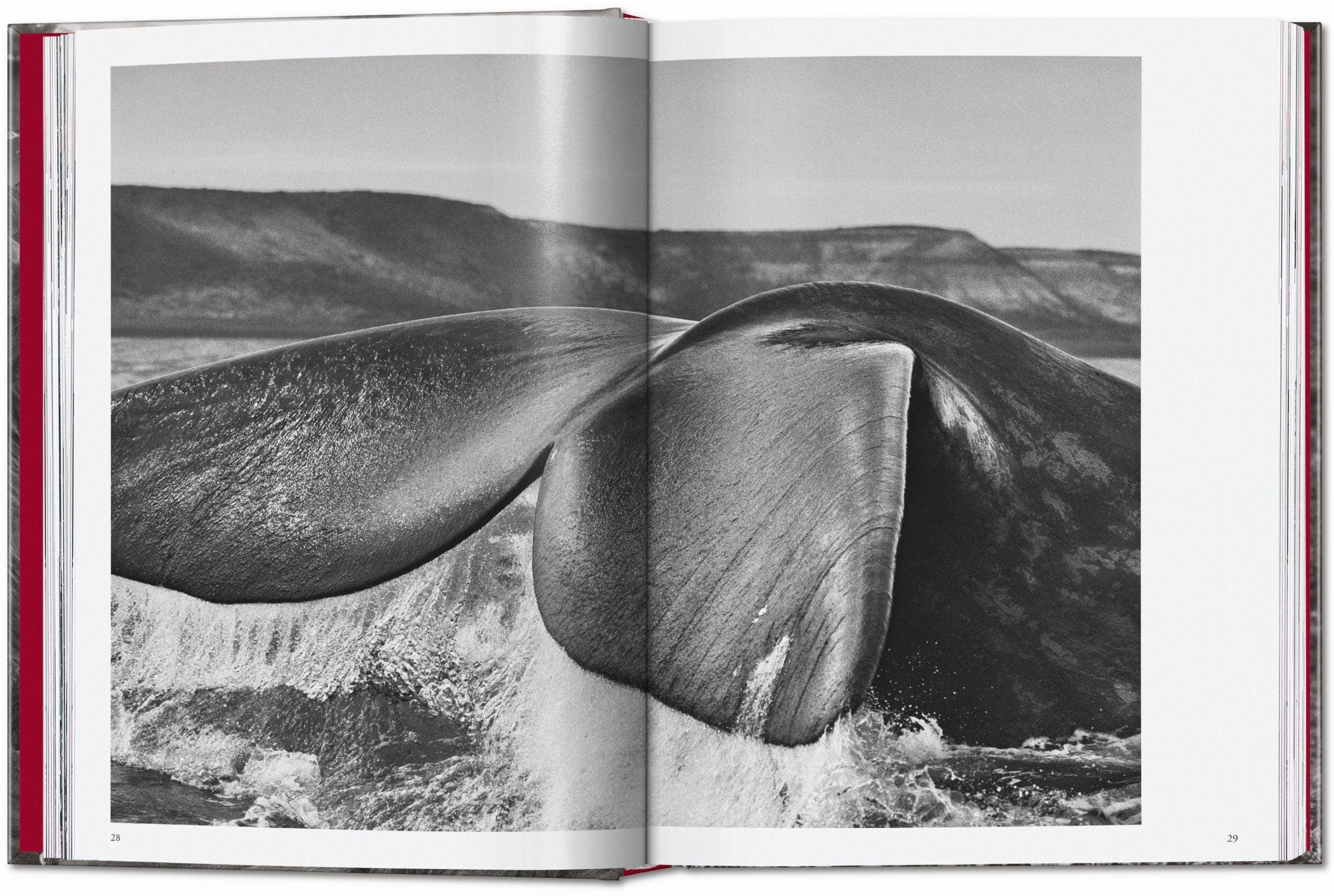 TASCHEN "Sebastião Salgado | Genesis" - 40th Anniversary Edition