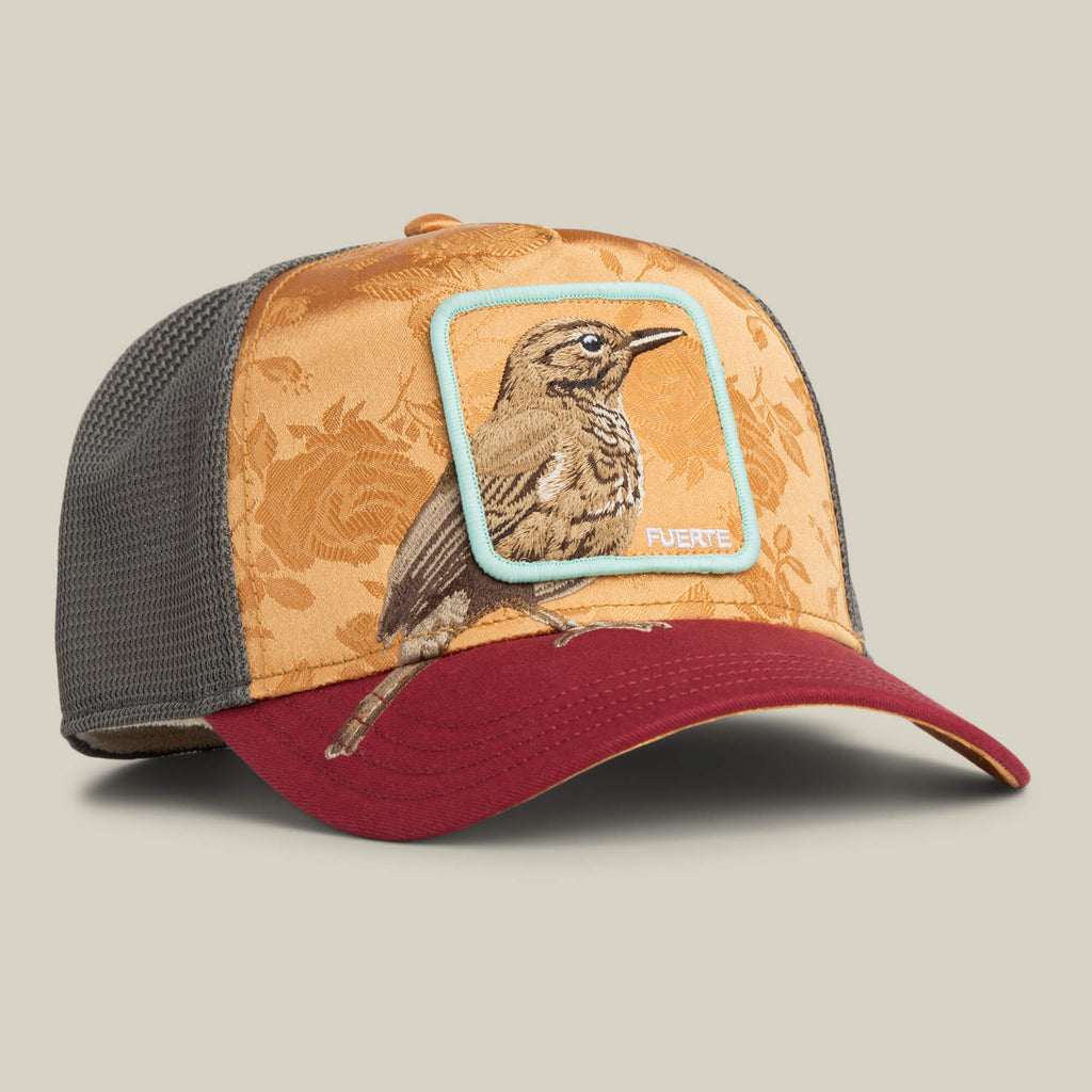 Costa Rica Thrush | Καπέλο Jockey