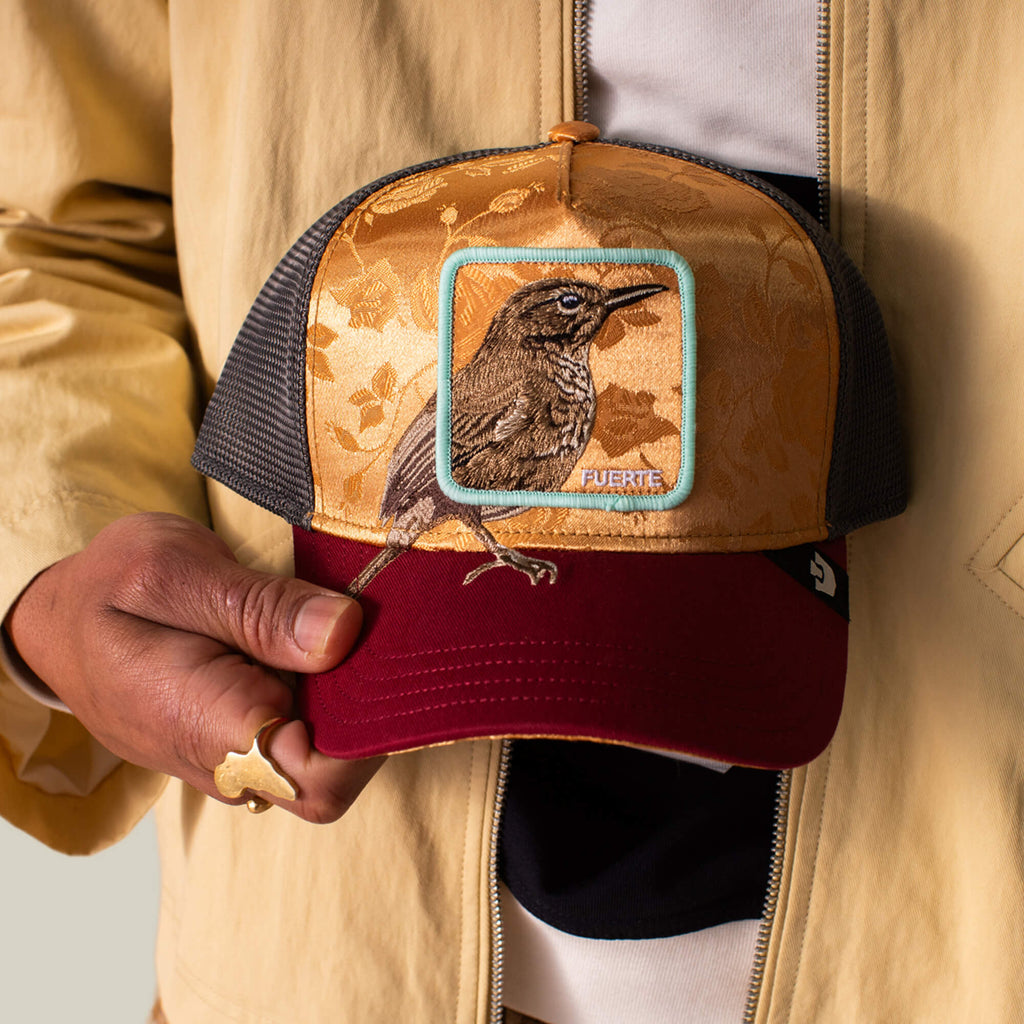 Αυθεντικό trucker καπέλο Goorin Bros. Costa Rica Thrush σε γκρι χρώμα με κεντημένο patch πουλί και μαύρο δίχτυ