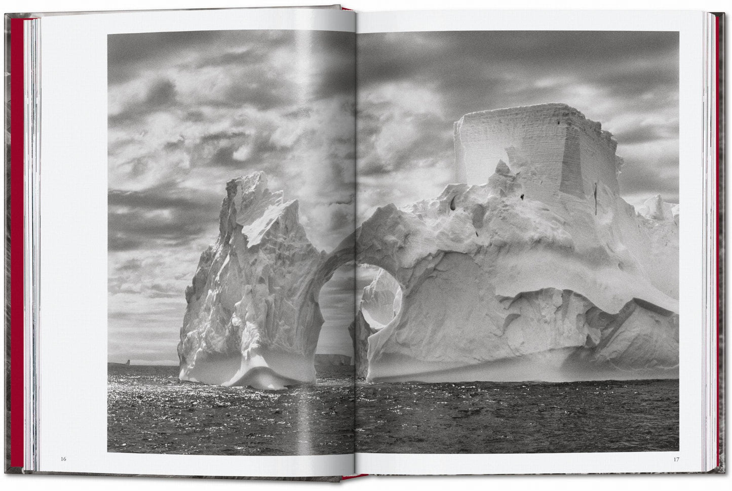 Το βιβλίο Genesis του Sebastião Salgado από τις εκδόσεις TASCHEN, με εμβληματική ασπρόμαυρη φωτογραφία της άγριας φύσης στο εξώφυλλο.
