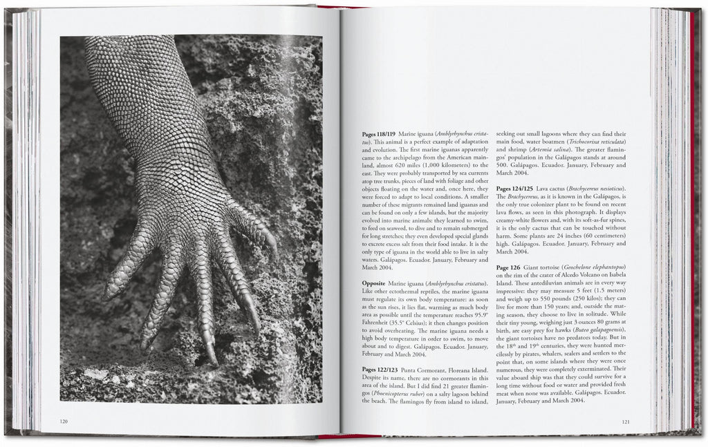 TASCHEN "Sebastião Salgado | Genesis" - 40th Anniversary Edition