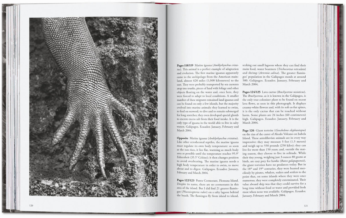 TASCHEN "Sebastião Salgado | Genesis" - 40th Anniversary Edition