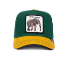 Extra Large | Jockey Hat with Elephant