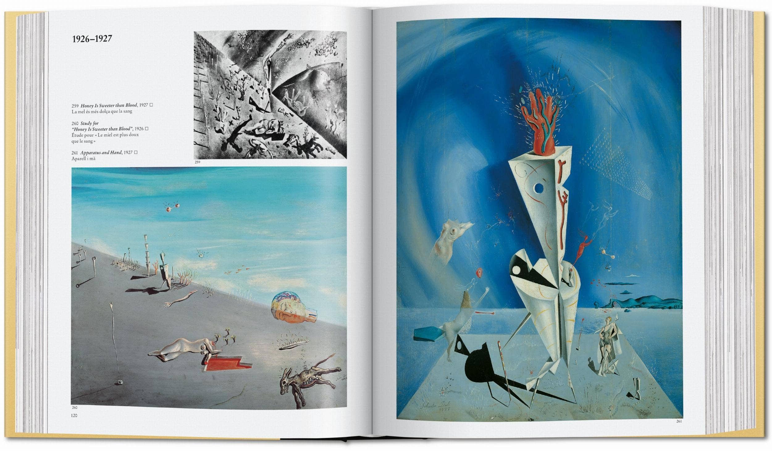 Το βιβλίο Dalí. The Paintings των εκδόσεων TASCHEN, με σκληρό εξώφυλλο που απεικονίζει εμβληματικό σουρεαλιστικό έργο του Salvador Dalí