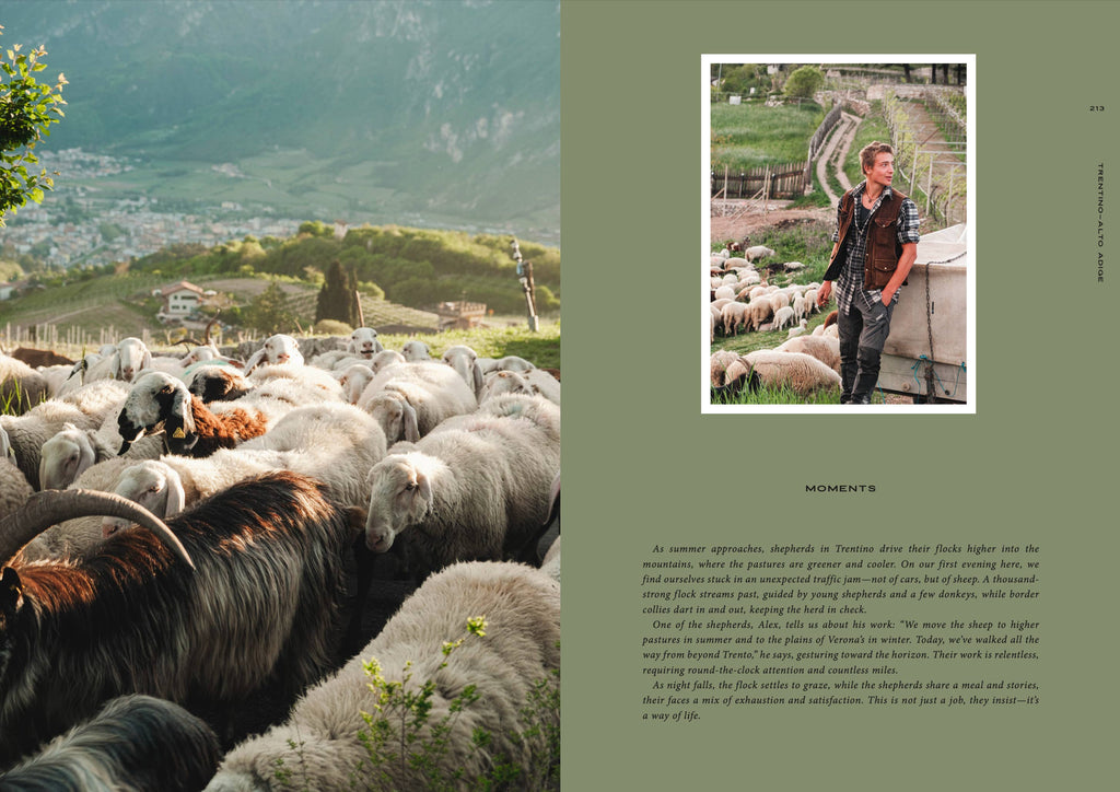 Travel Guide: Somewhere in Italy