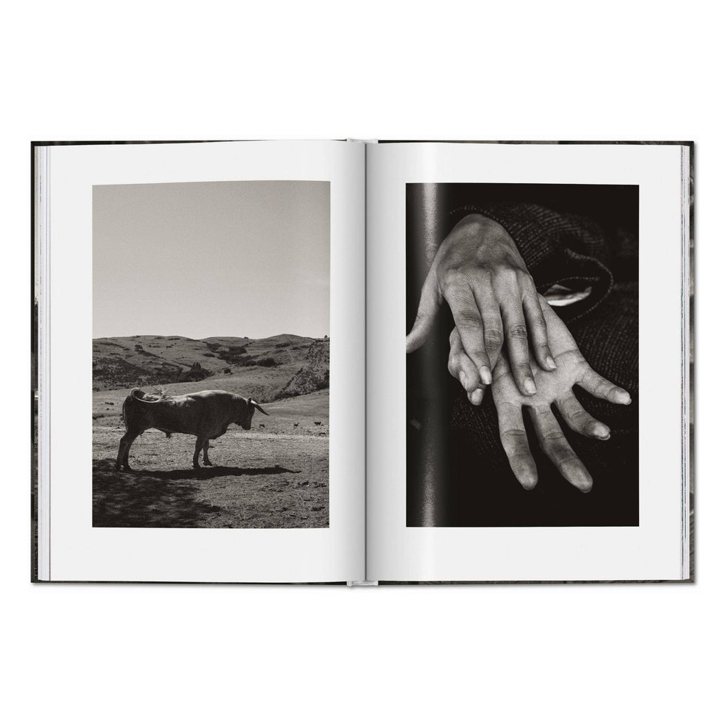 Το premium σκληρόδετο βιβλίο "Peter Lindbergh. Untold Stories" του εκδοτικού οίκου TASCHEN, με μια από τις χαρακτηριστικές, ασπρόμαυρες και γεμάτες συναίσθημα φωτογραφίες του στο εξώφυλλο.