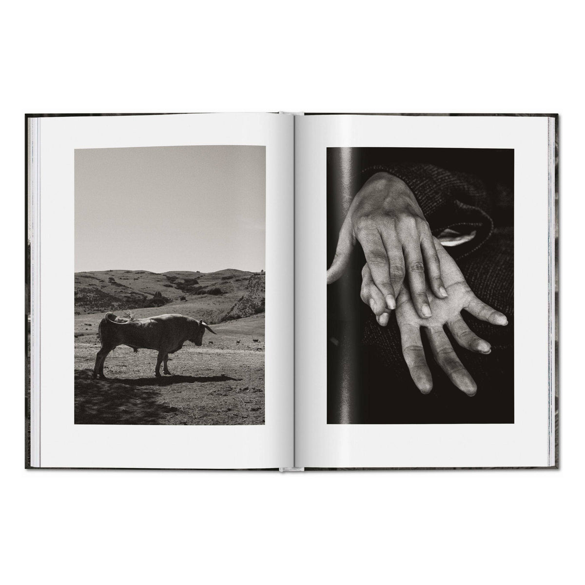 Το premium σκληρόδετο βιβλίο "Peter Lindbergh. Untold Stories" του εκδοτικού οίκου TASCHEN, με μια από τις χαρακτηριστικές, ασπρόμαυρες και γεμάτες συναίσθημα φωτογραφίες του στο εξώφυλλο.