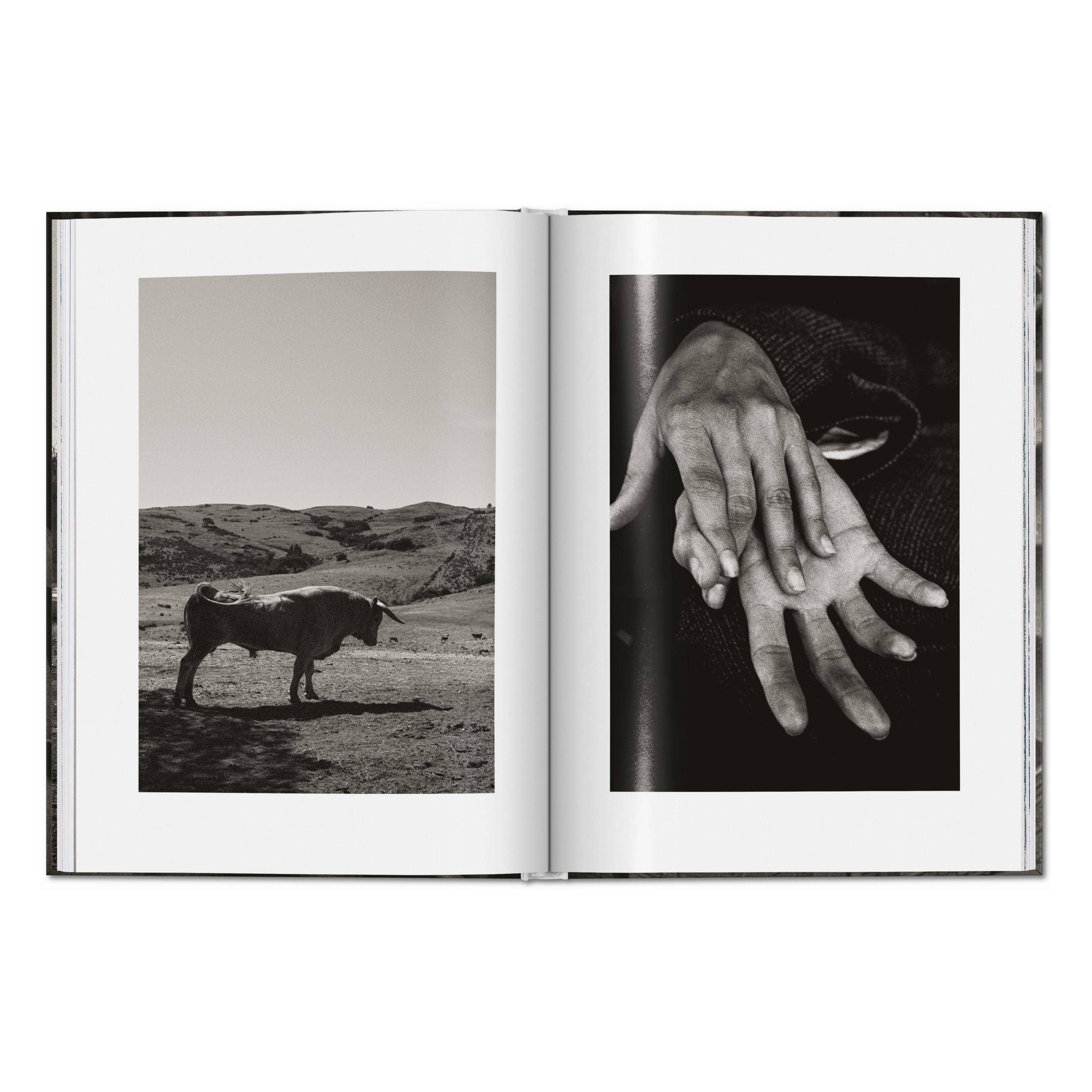 Το premium σκληρόδετο βιβλίο "Peter Lindbergh. Untold Stories" του εκδοτικού οίκου TASCHEN, με μια από τις χαρακτηριστικές, ασπρόμαυρες και γεμάτες συναίσθημα φωτογραφίες του στο εξώφυλλο.