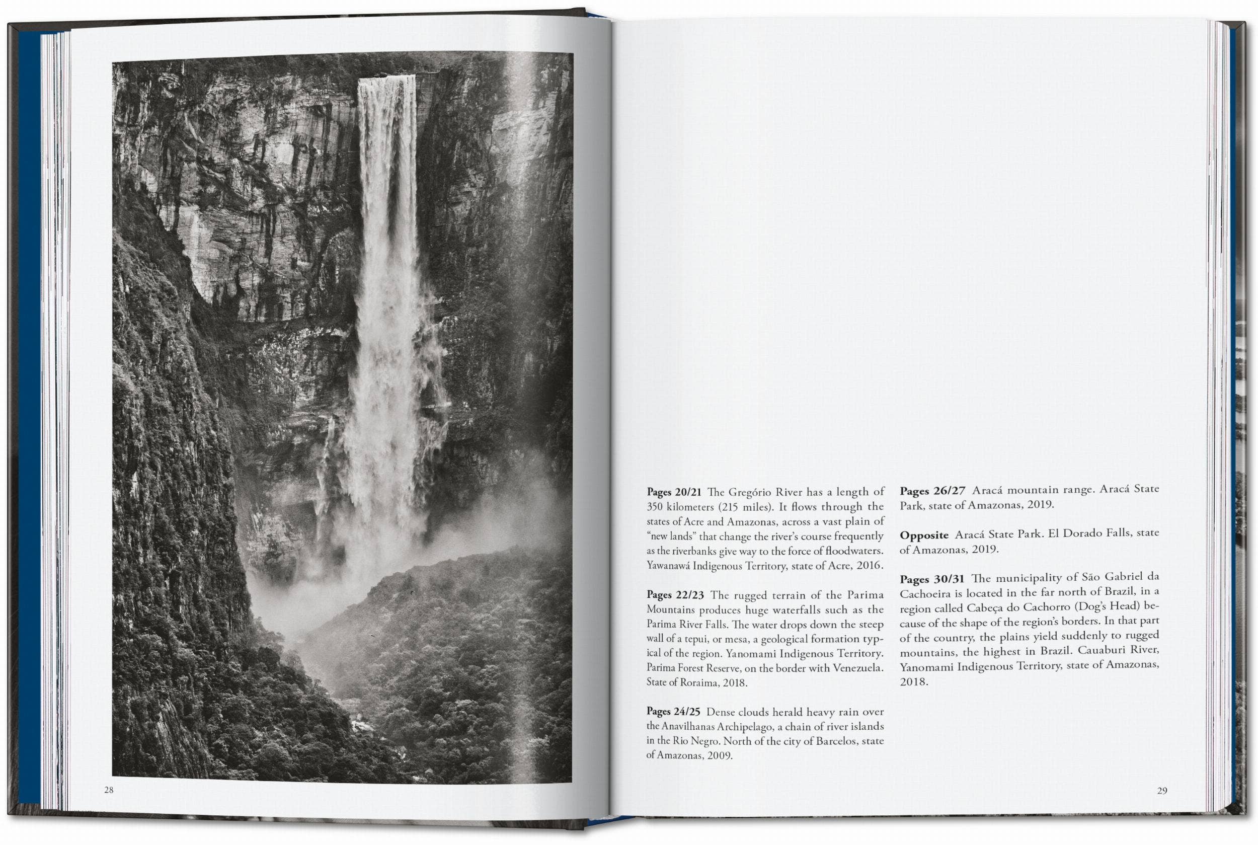 Το βιβλίο Amazônia του Sebastião Salgado από τις εκδόσεις TASCHEN, με μια επιβλητική ασπρόμαυρη φωτογραφία του δάσους του Αμαζονίου στο εξώφυλλο.