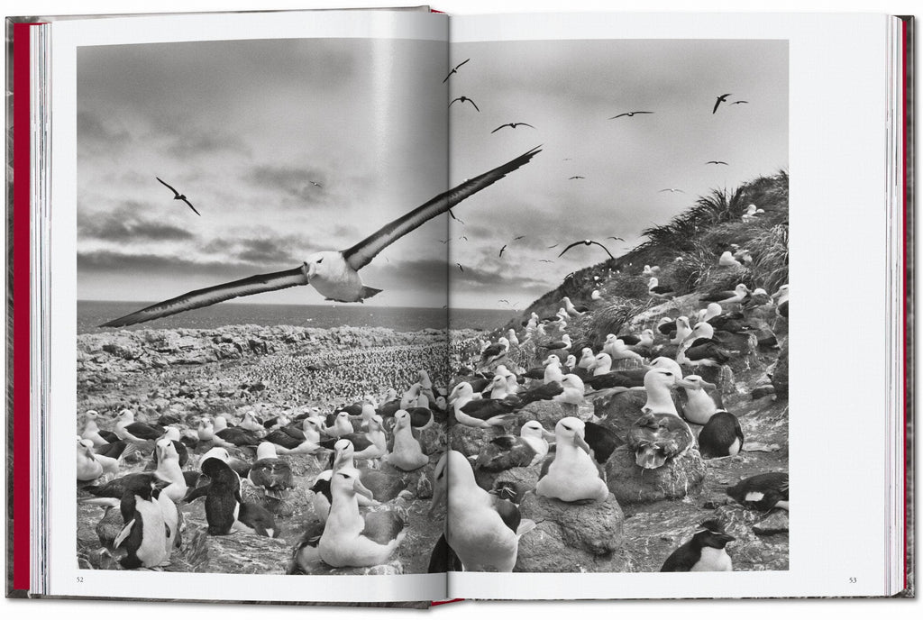 TASCHEN "Sebastião Salgado | Genesis" - 40th Anniversary Edition