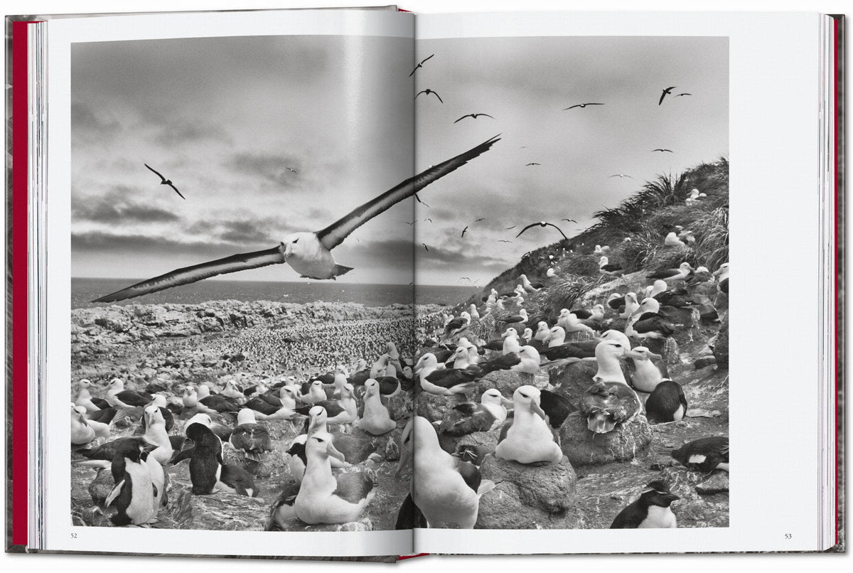 TASCHEN "Sebastião Salgado | Genesis" - 40th Anniversary Edition