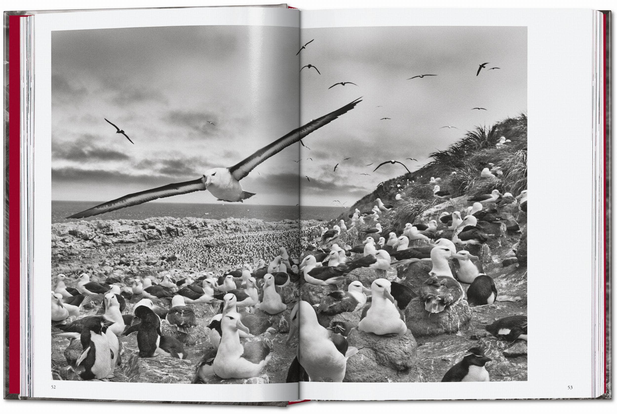 TASCHEN "Sebastião Salgado | Genesis" - 40th Anniversary Edition