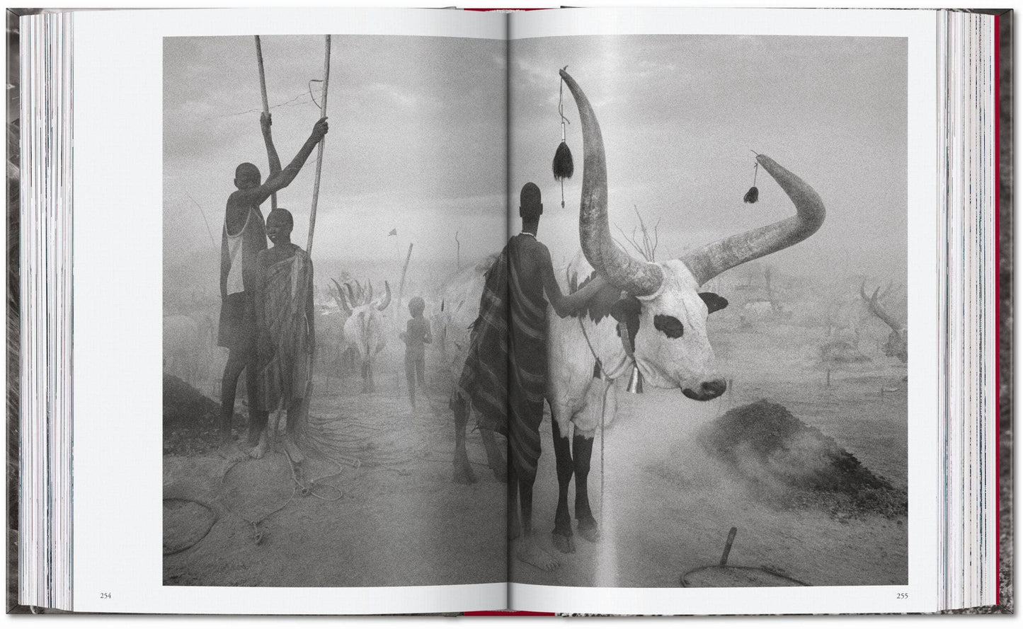 TASCHEN "Sebastião Salgado | Genesis" - 40th Anniversary Edition