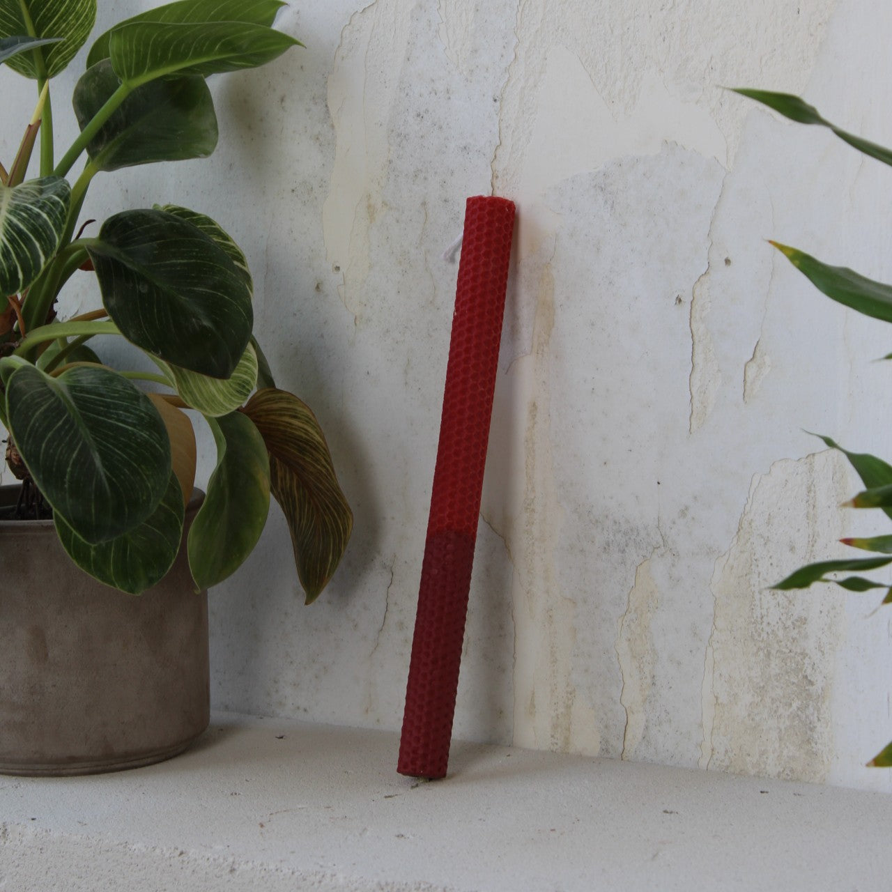 Monochrome λαμπάδα | Red Wine