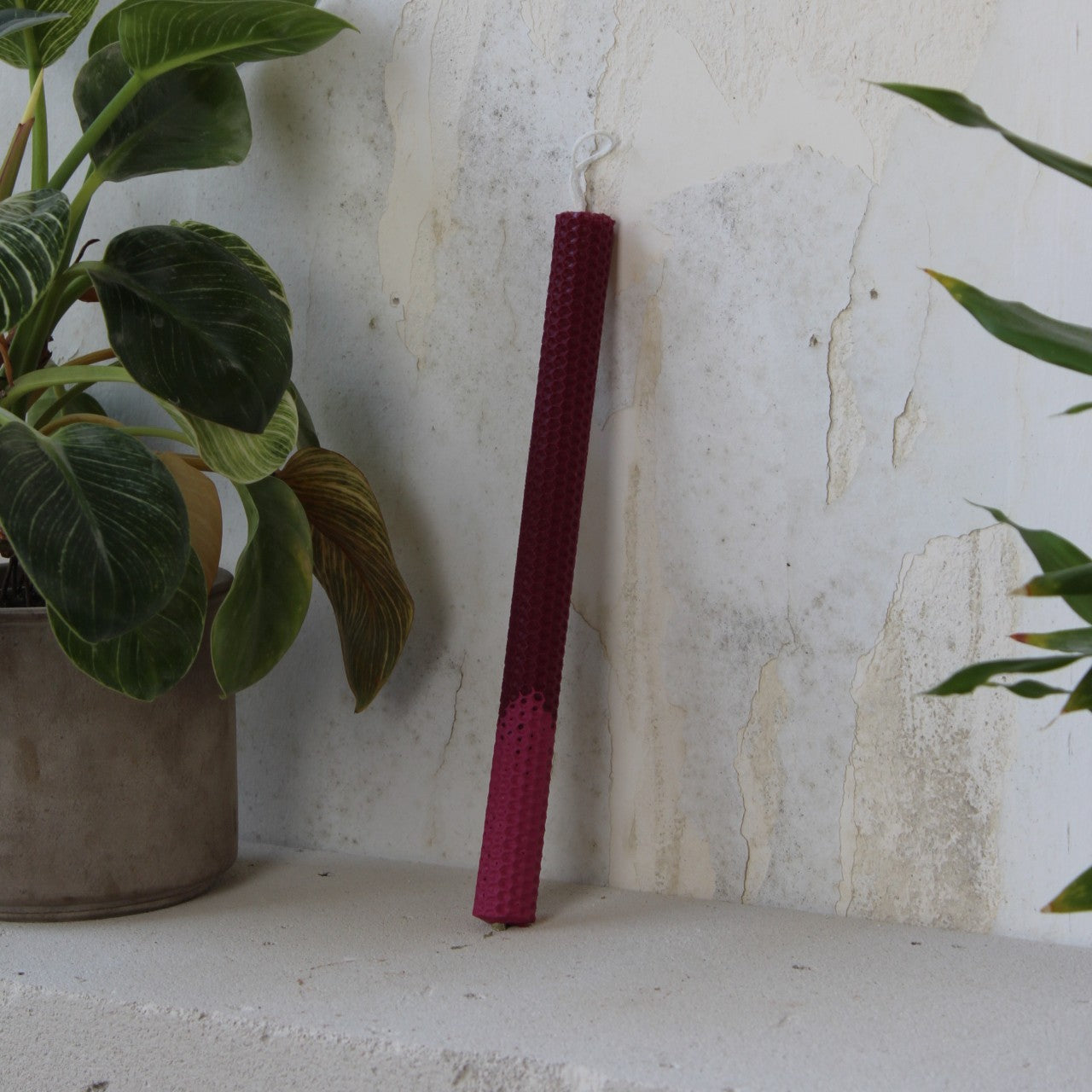 Monochrome λαμπάδα | Magenta