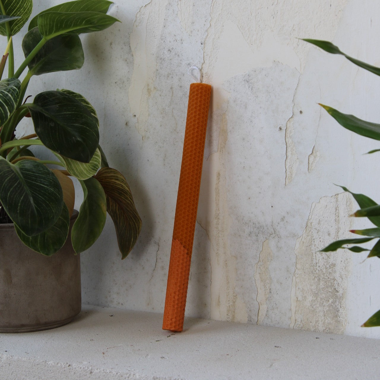 Monochrome λαμπάδα | Vitamin C