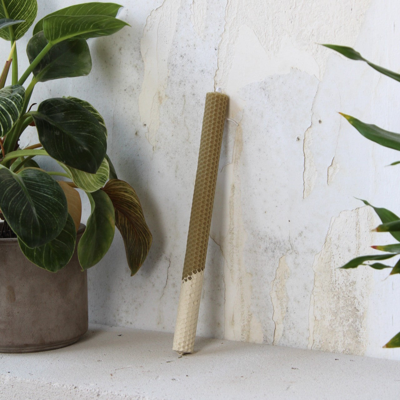 Monochrome λαμπάδα | Latte