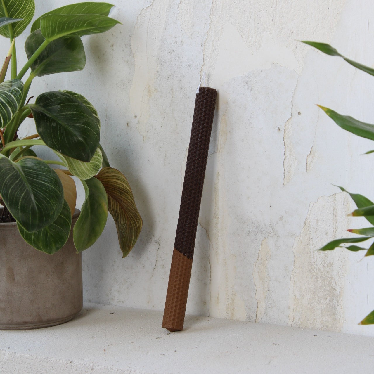 Monochrome λαμπάδα | Mocca