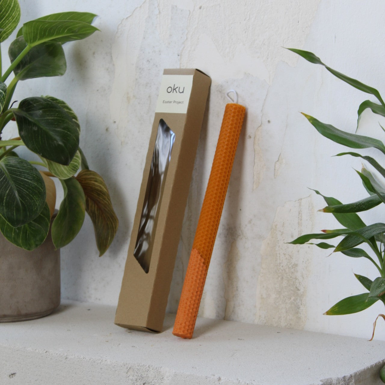 Monochrome λαμπάδα | Vitamin C