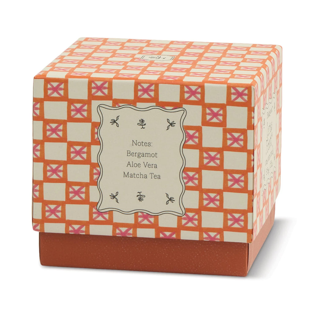 Cactus Flower | Tulip Collection