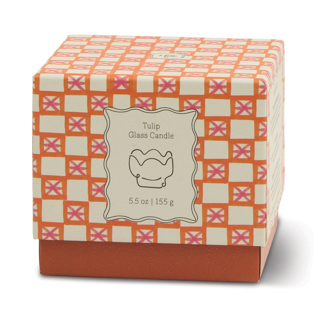 Cactus Flower | Tulip Collection