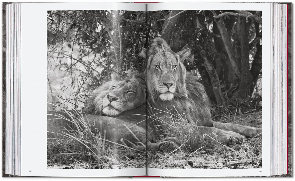 TASCHEN "Sebastião Salgado | Genesis" - 40th Anniversary Edition