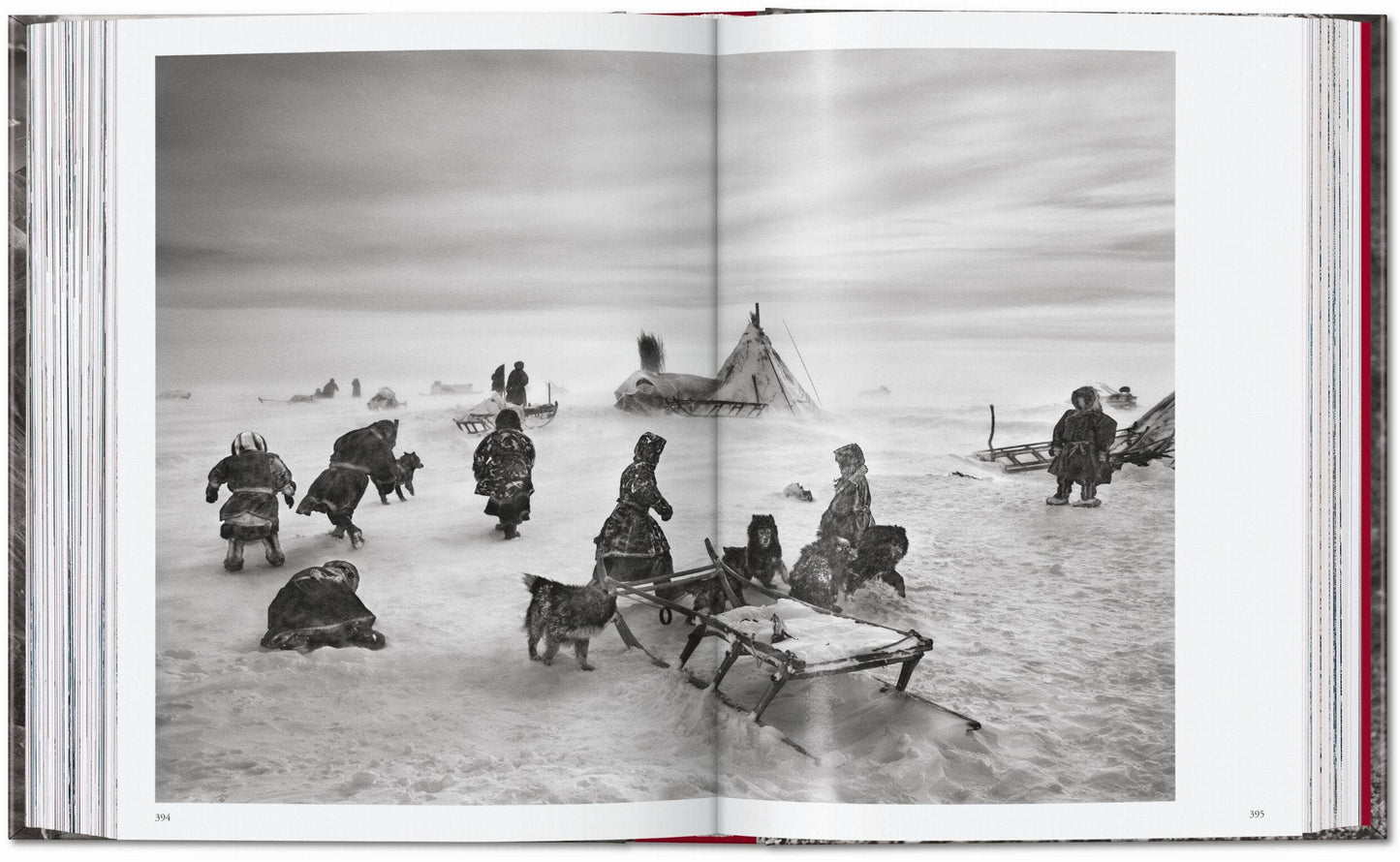 TASCHEN "Sebastião Salgado | Genesis" - 40th Anniversary Edition