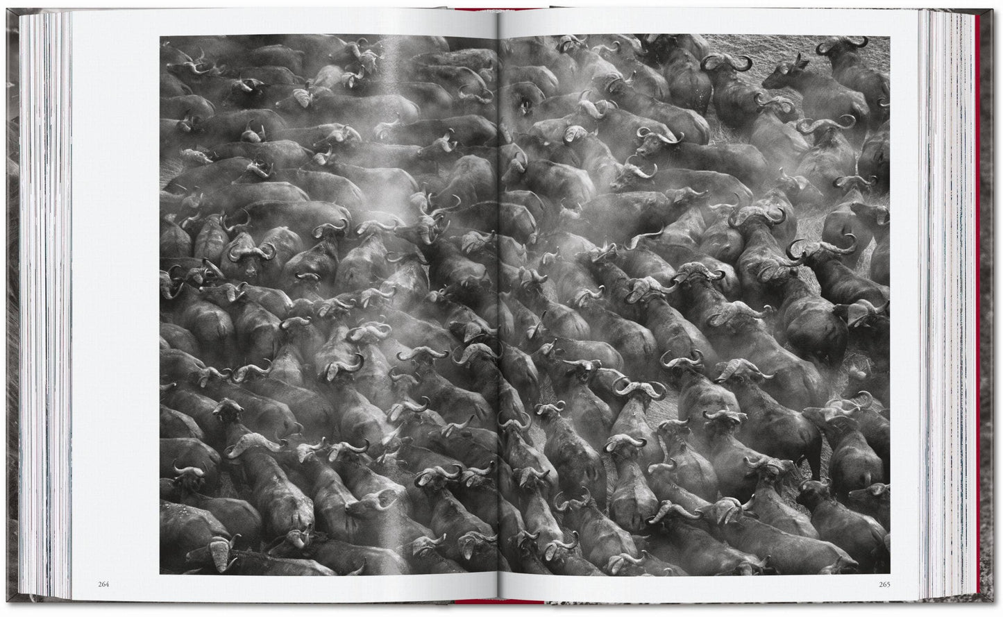 TASCHEN "Sebastião Salgado | Genesis" - 40th Anniversary Edition
