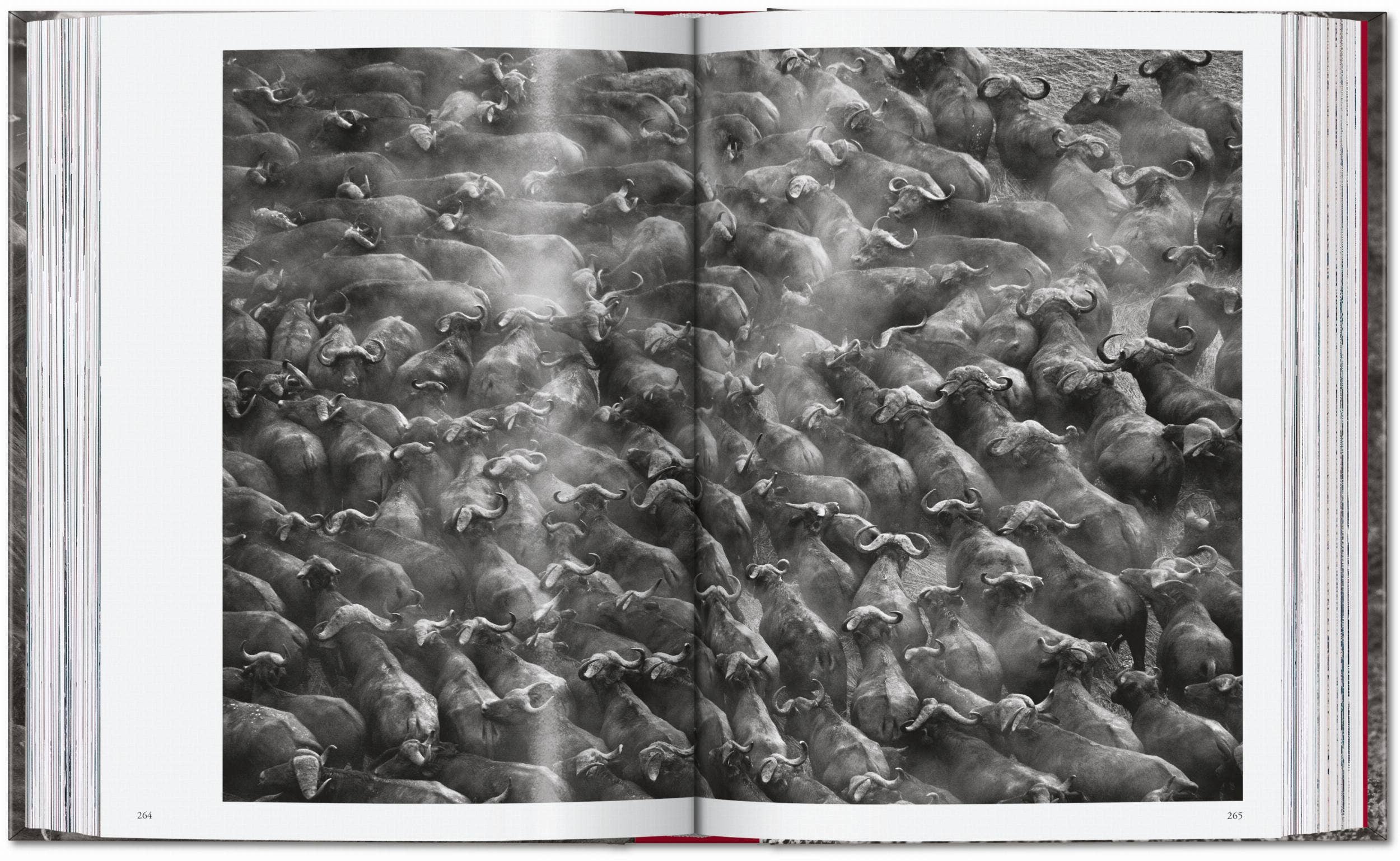 TASCHEN "Sebastião Salgado | Genesis" - 40th Anniversary Edition