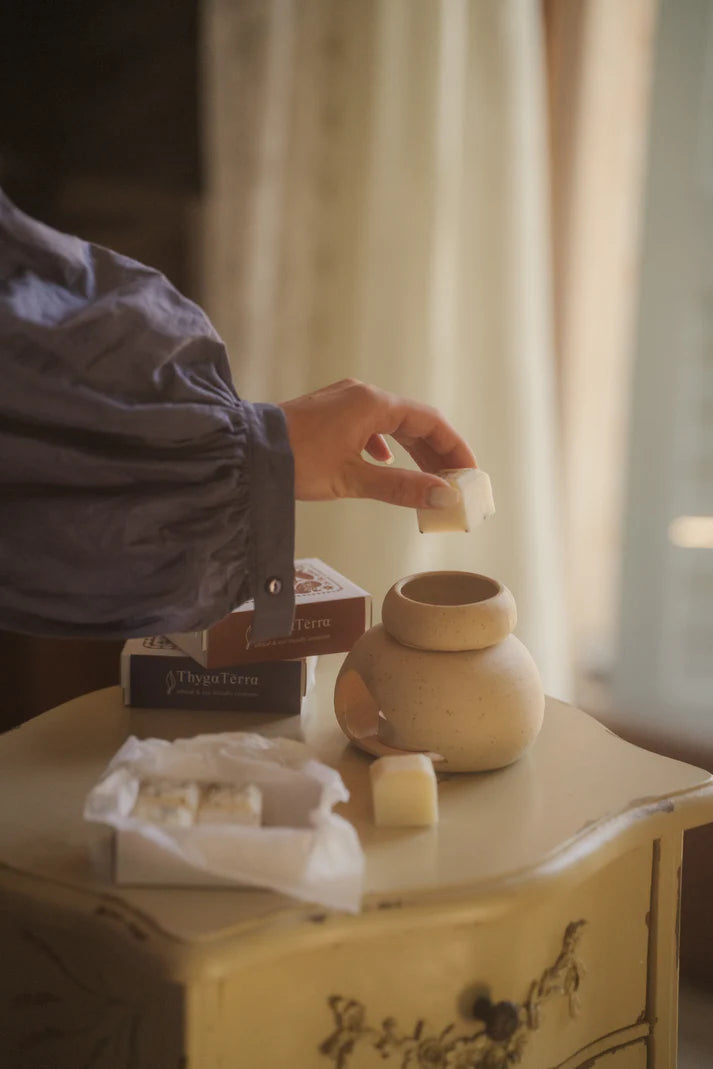 Χειροποίητα πασχαλινά wax melts Thygaterra από φυσικό κερί σόγιας