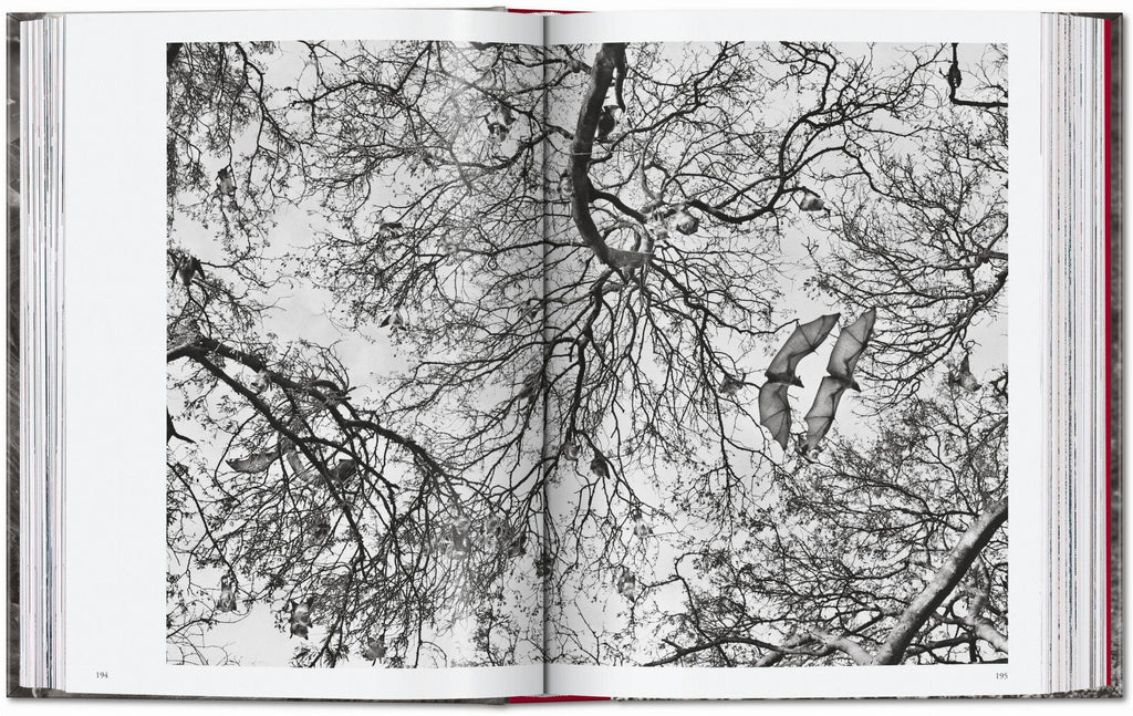 TASCHEN "Sebastião Salgado | Genesis" - 40th Anniversary Edition
