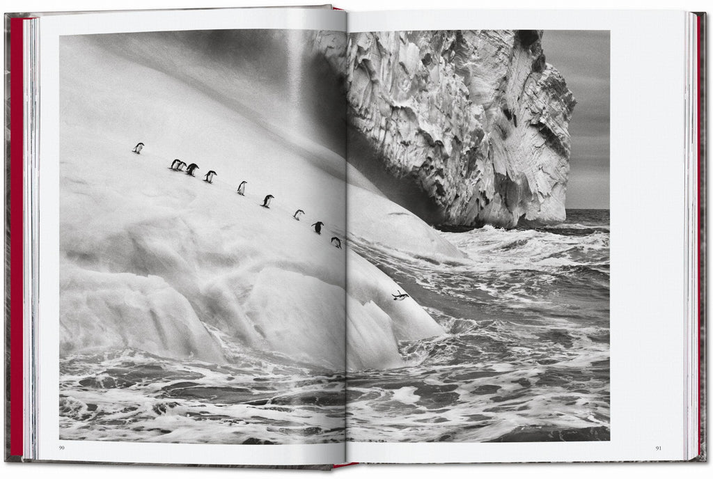 TASCHEN "Sebastião Salgado | Genesis" - 40th Anniversary Edition