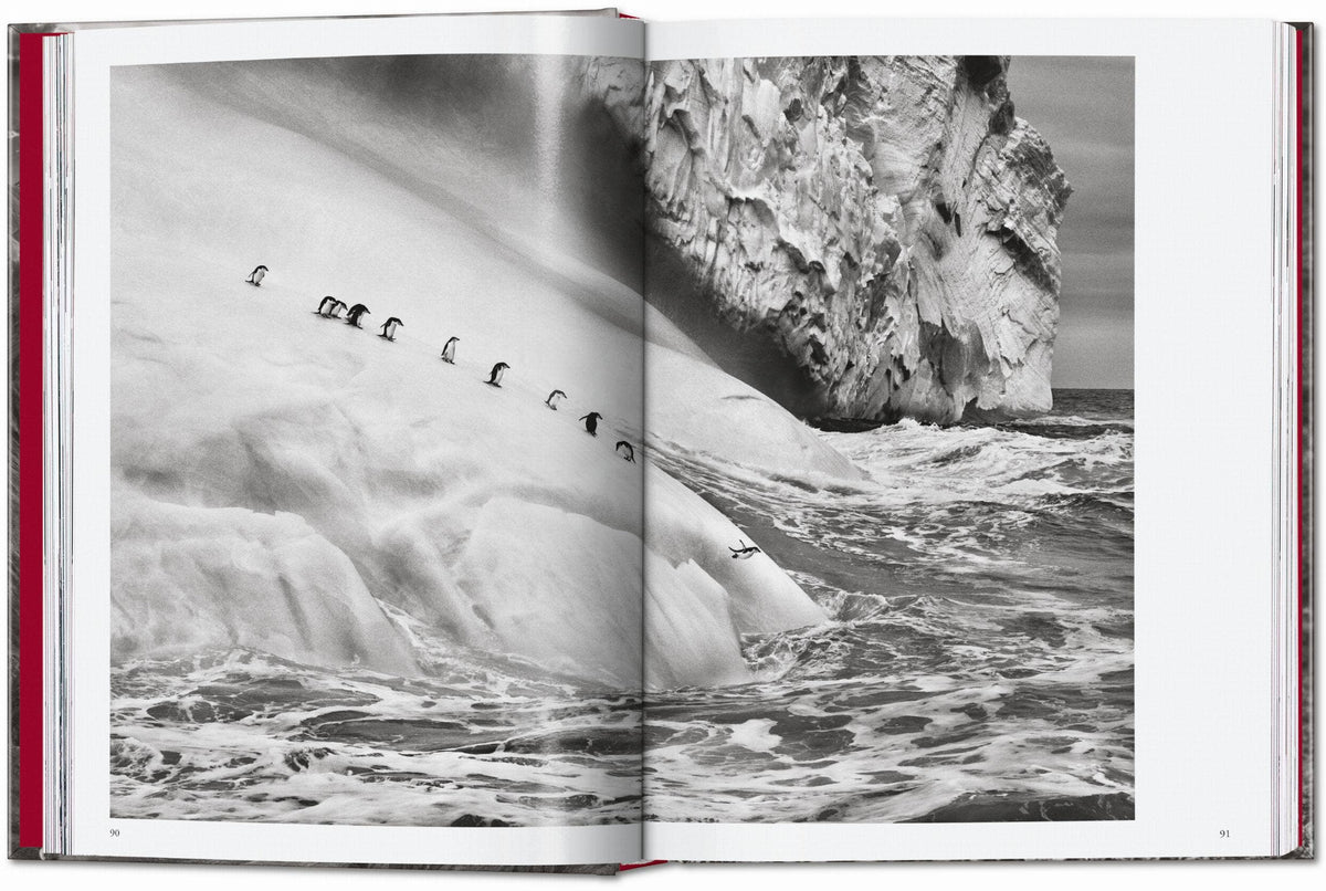 TASCHEN "Sebastião Salgado | Genesis" - 40th Anniversary Edition