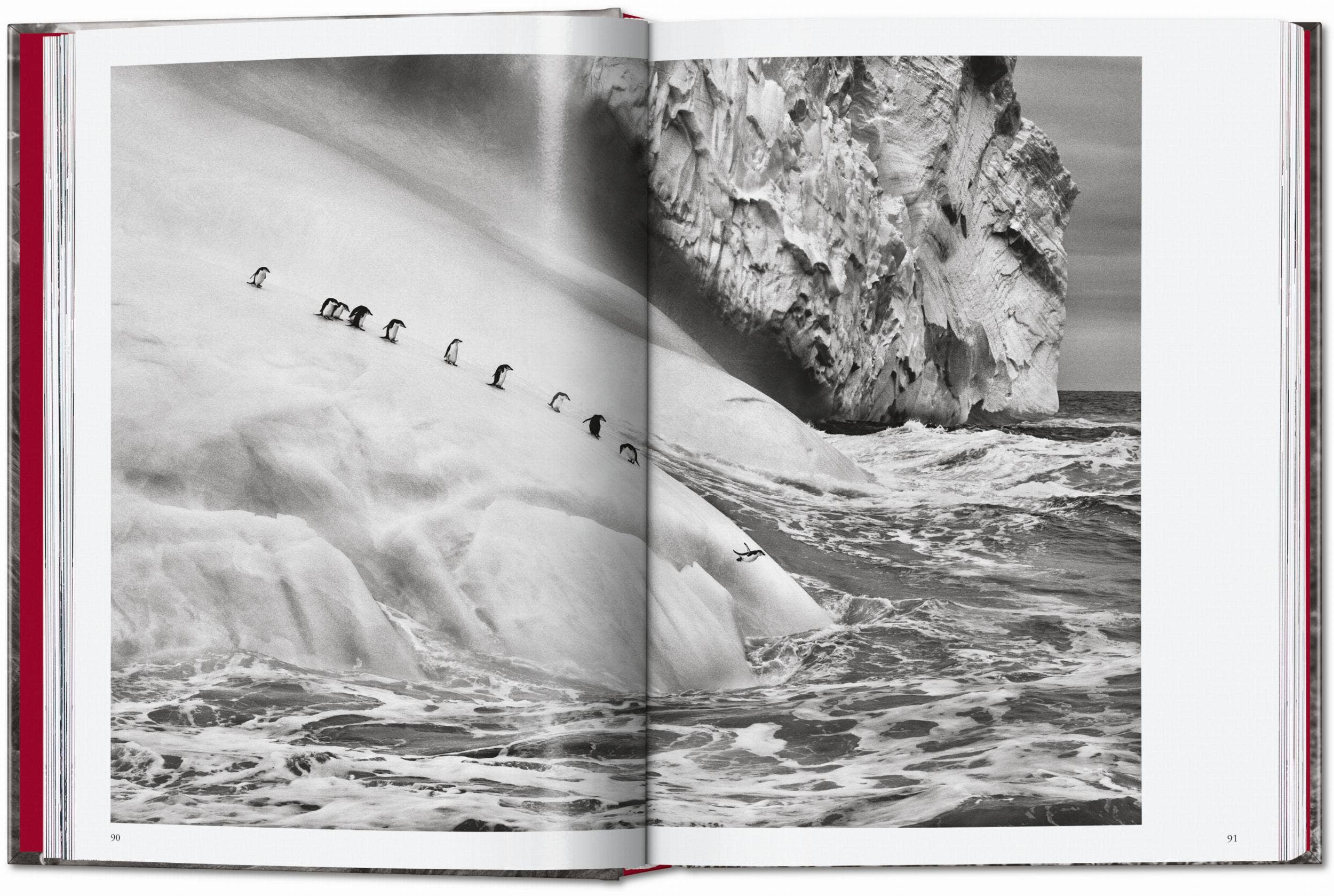 TASCHEN "Sebastião Salgado | Genesis" - 40th Anniversary Edition