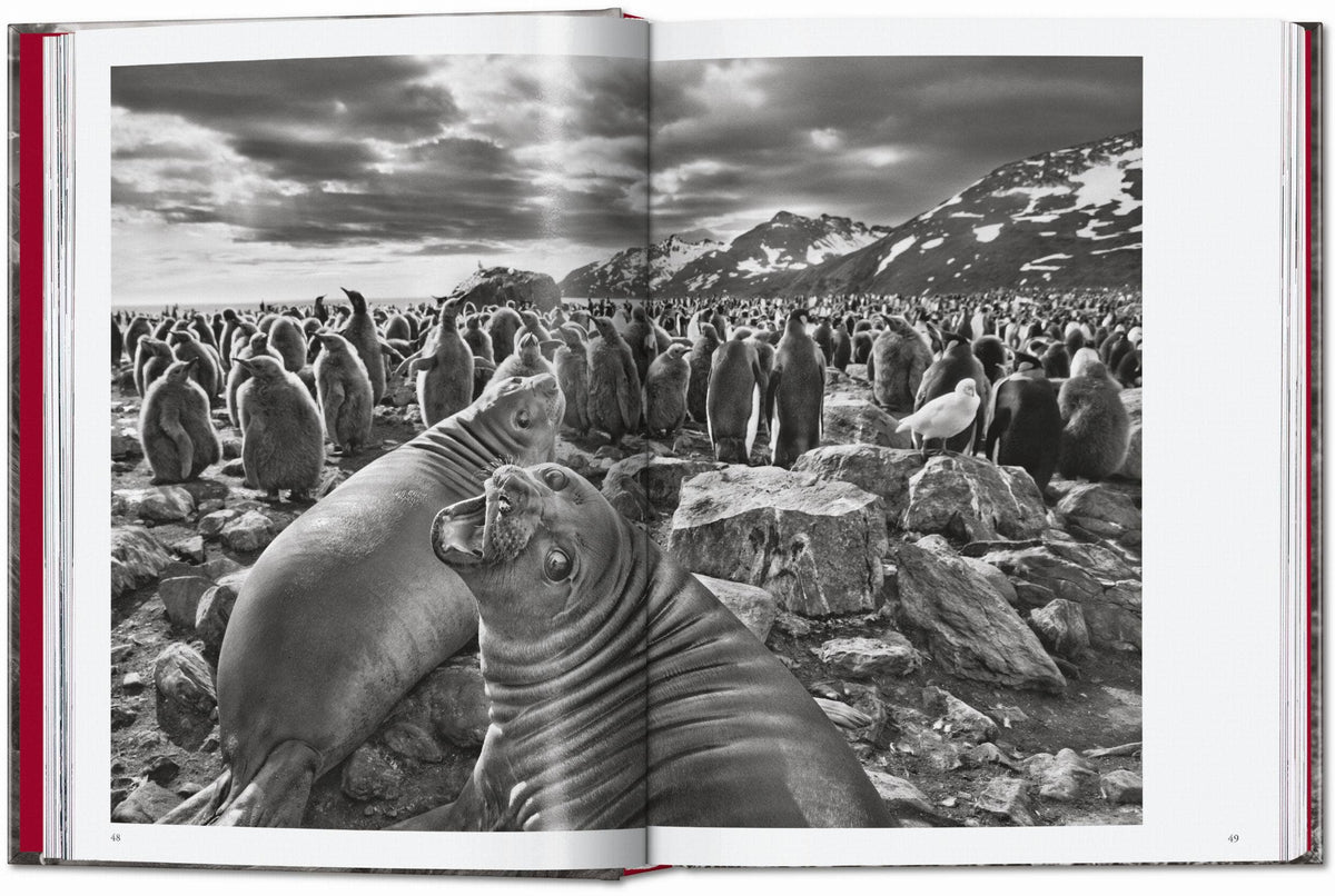 TASCHEN "Sebastião Salgado | Genesis" - 40th Anniversary Edition