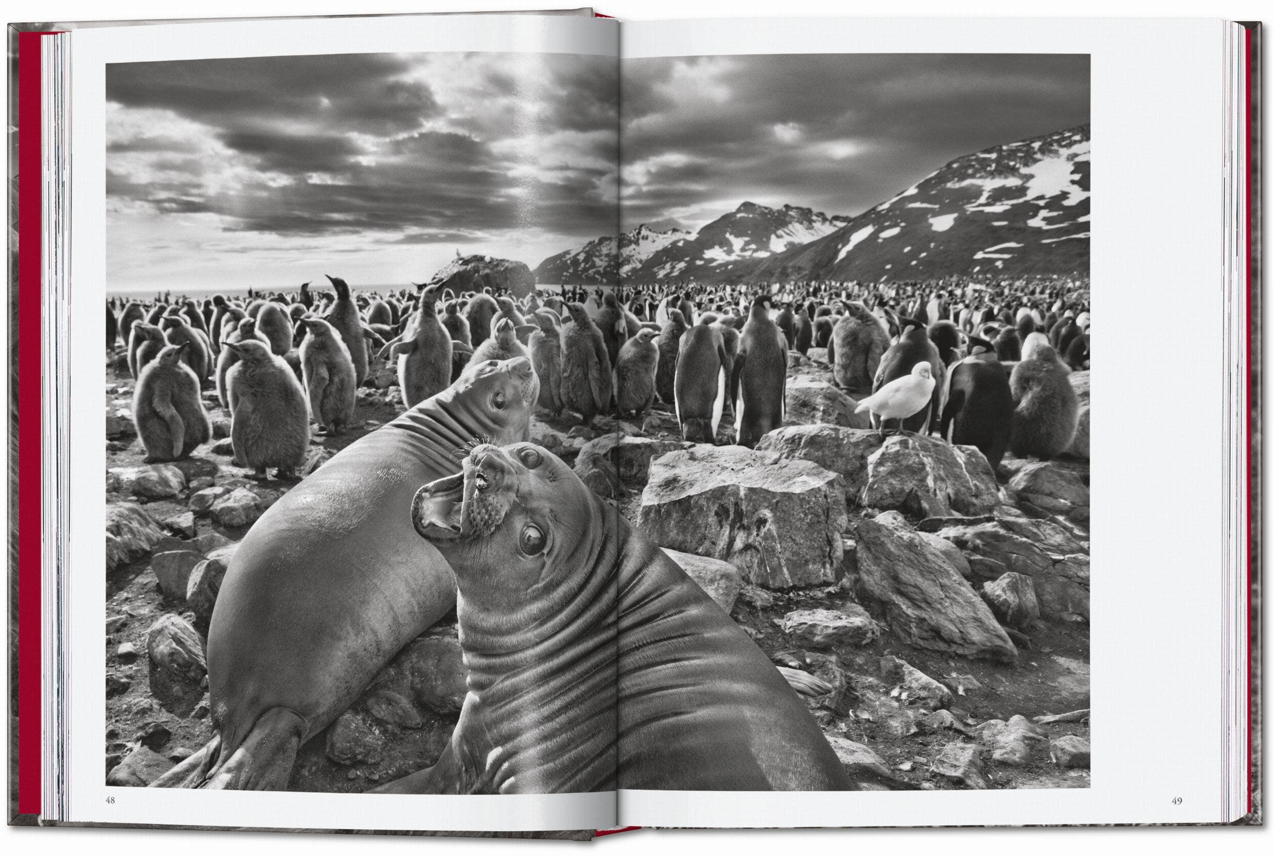 TASCHEN "Sebastião Salgado | Genesis" - 40th Anniversary Edition