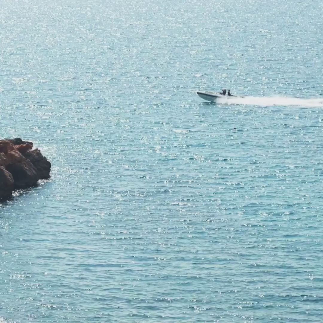 Canis Major | Τσάντα tote από ψάθα και δέρμα