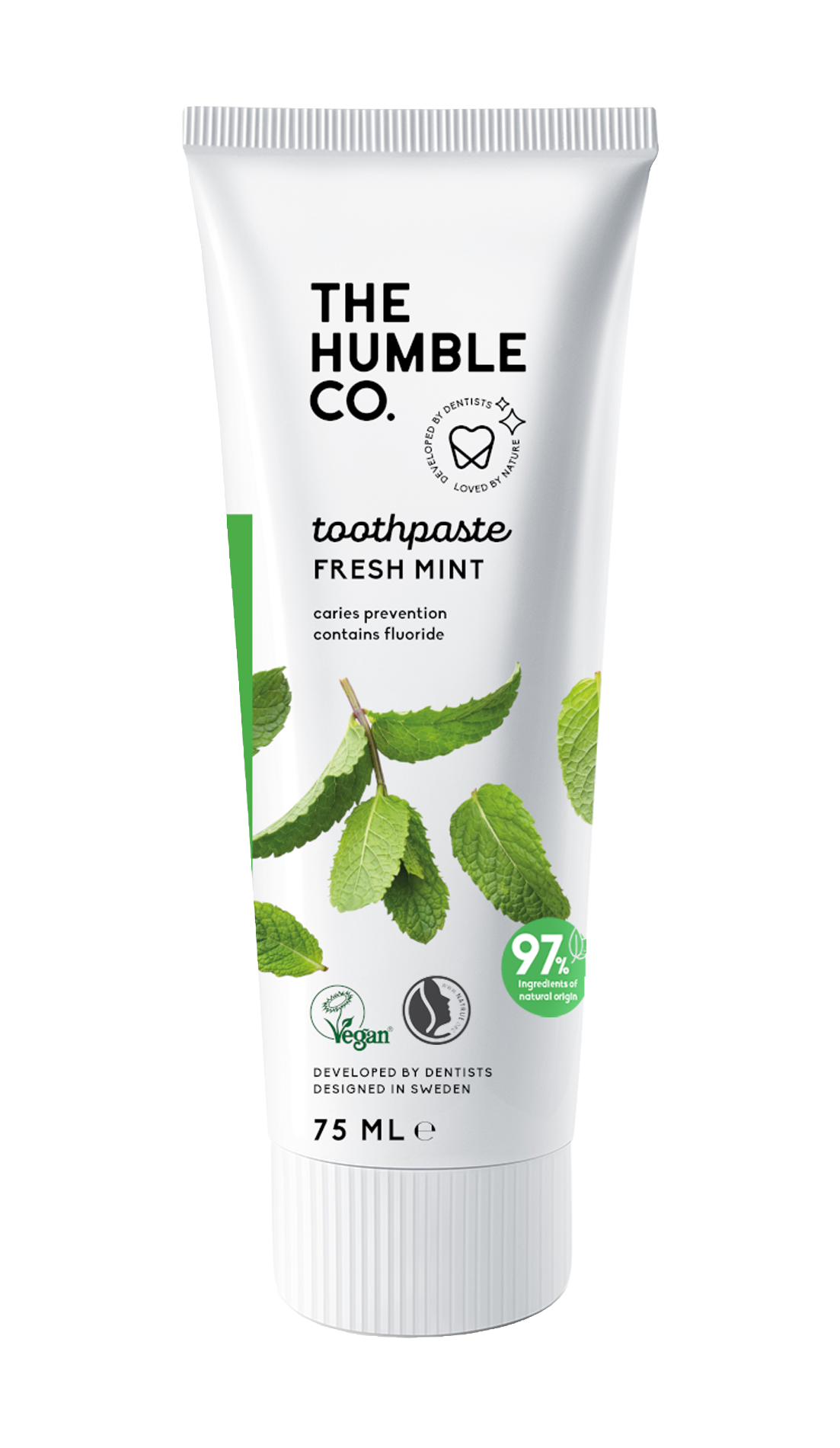 Natural Toothpaste | Fresh Mint